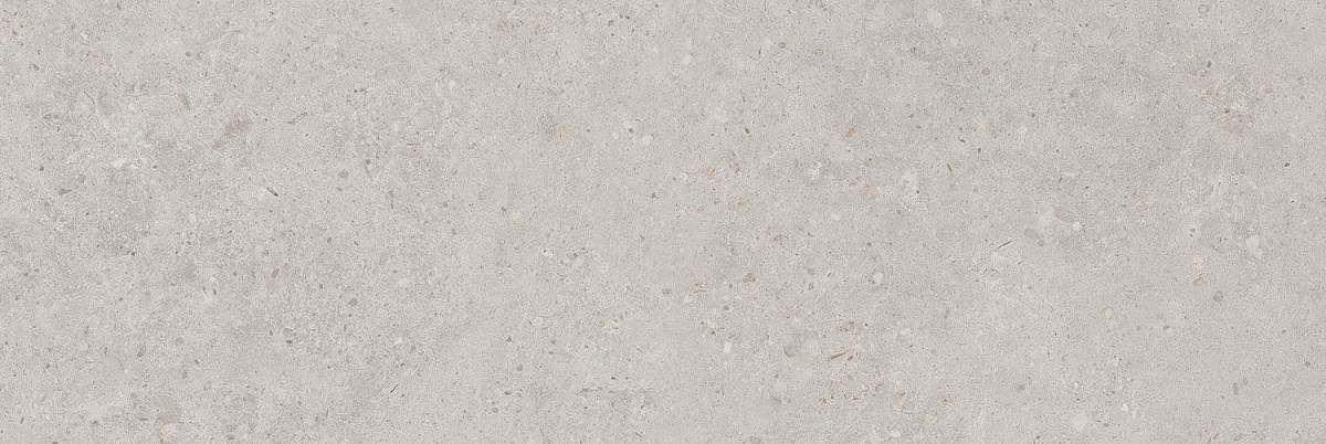 Риккарди Серый Светлый Матовый Обрезной 14053R 40x120