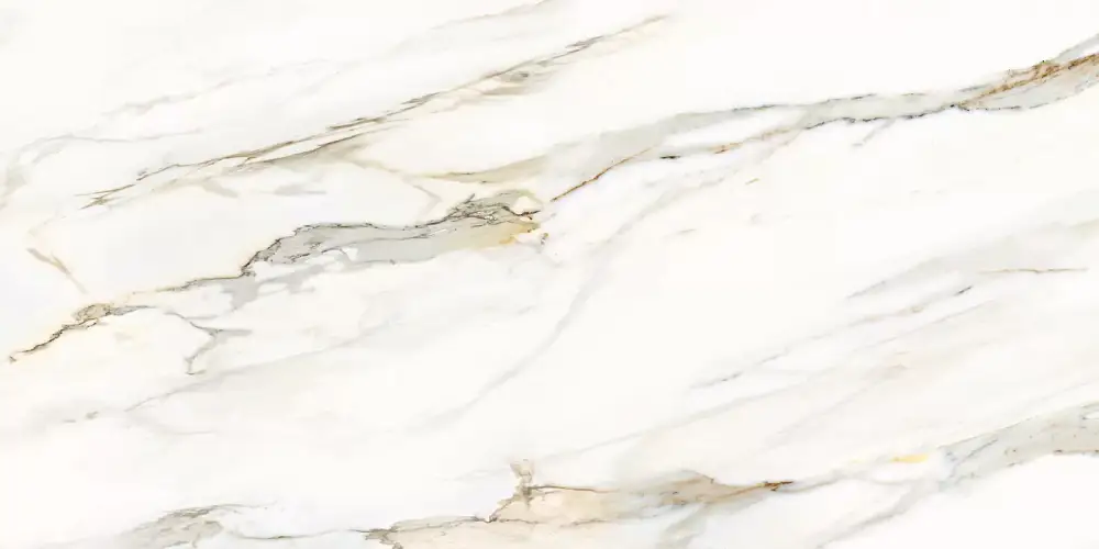 Omega Gold D12054M Матовый Керамогранит 60x120