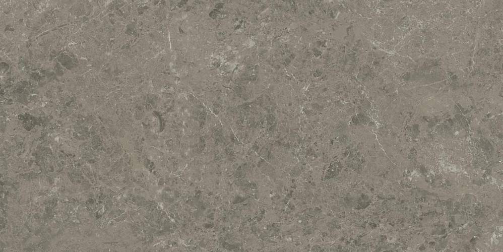 Marvel Meraviglia Grigio Elegante AKHO Керамогранит 60x120