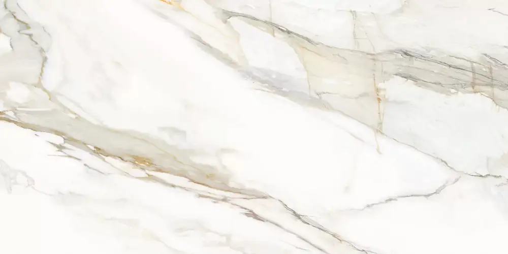 Omega Gold D12054M Матовый Керамогранит 60x120