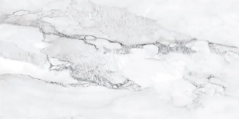 Axion Ice NTTVL99835M Матовый Керамогранит 60x120