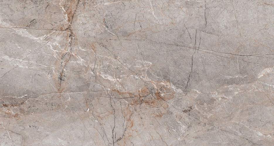 Lester Grey Mat S4431M Серый Керамогранит 60x120