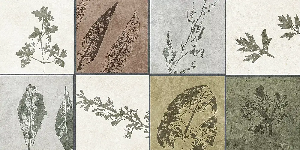 Delia Мультиколор GT234VG 30x60