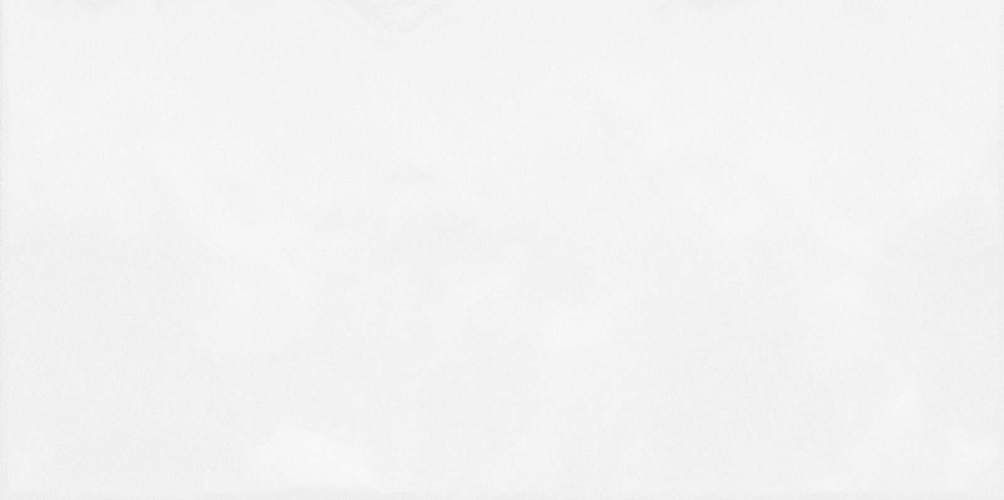 Monocolor Белый TWU09MNR030 Глянцевая Рельефная 24,9x50