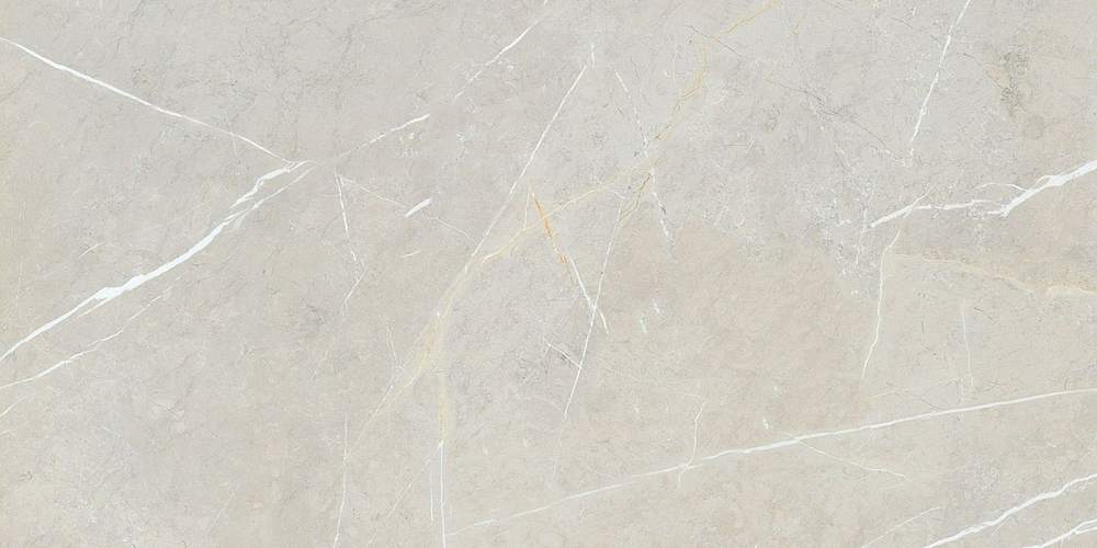 Bright And Shiny BB612NTT9101P Керамогранит 60x120