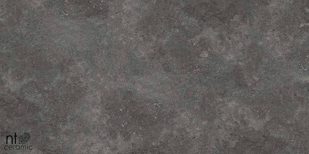 Concrete PP459NTT77003M Керамогранит 45x90