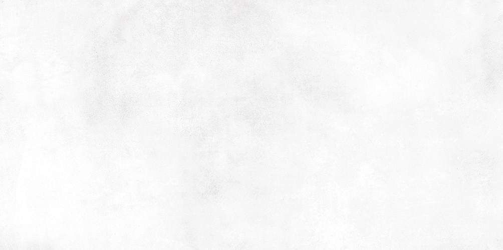 Richard Белый TWU09RCD000 Глянцевая 24,9x50