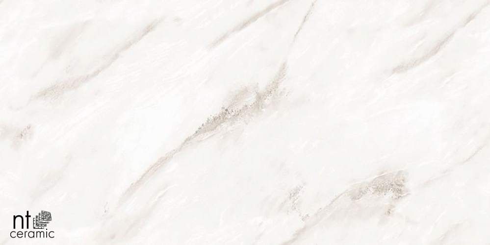 Empire Pearl Endless Керамогранит 60x120