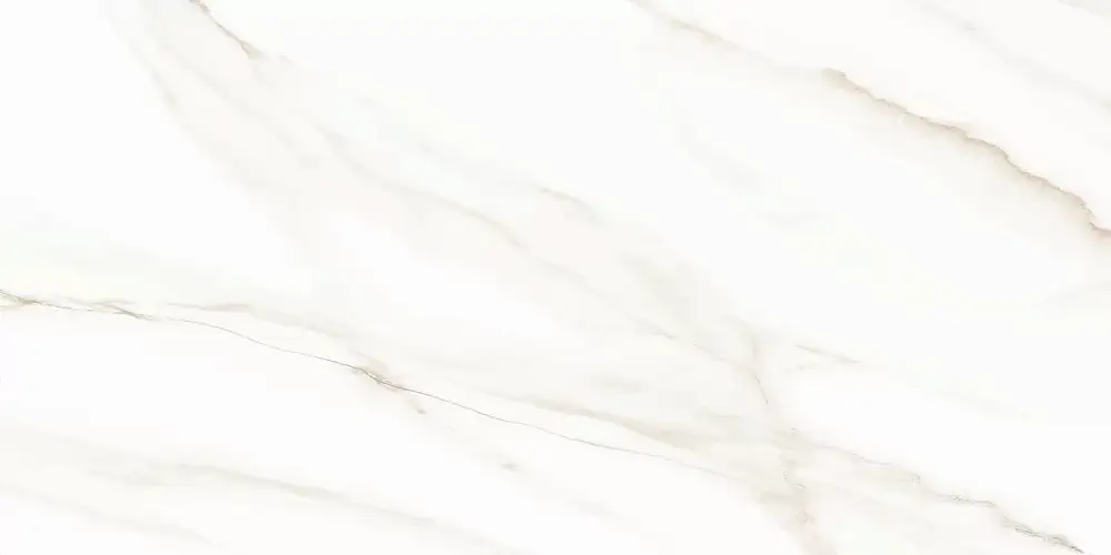 Esprit Calacatta WT9ESR00 Глянцевая 25x50