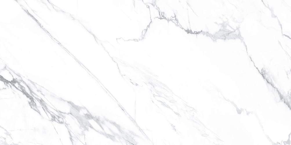 Lima Calacatta WT9LIM00 Глянцевая 24,9x50