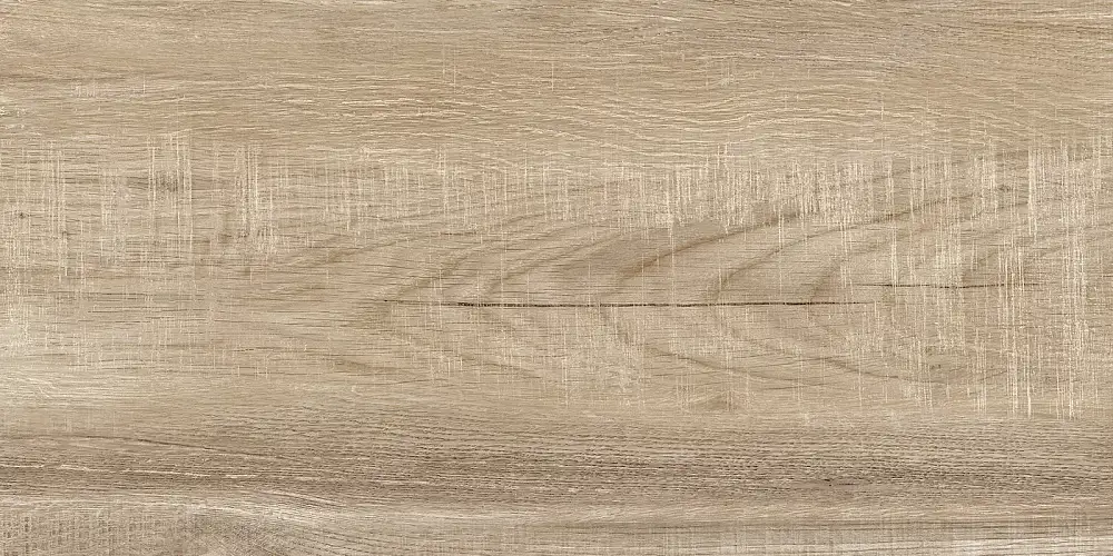 Euphoria Бежевый TWU2550EPH40 Матовая 24,9x50