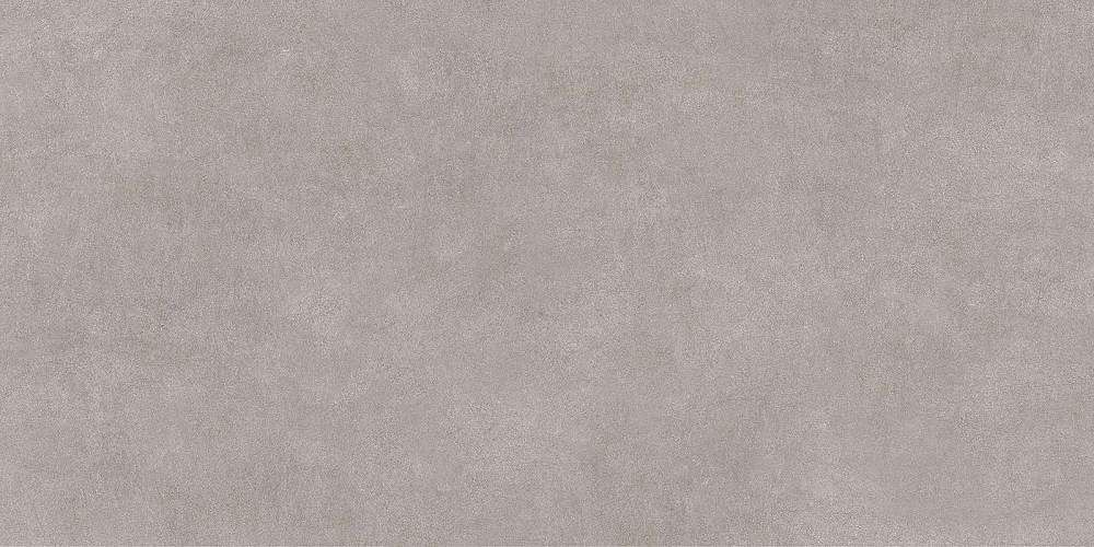 Berlin Серый GFU60120BLN70R Матовый Керамогранит 60x120