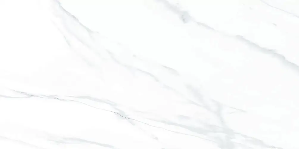 Julia Light WT9JUL00 Глянцевая 24,9x50