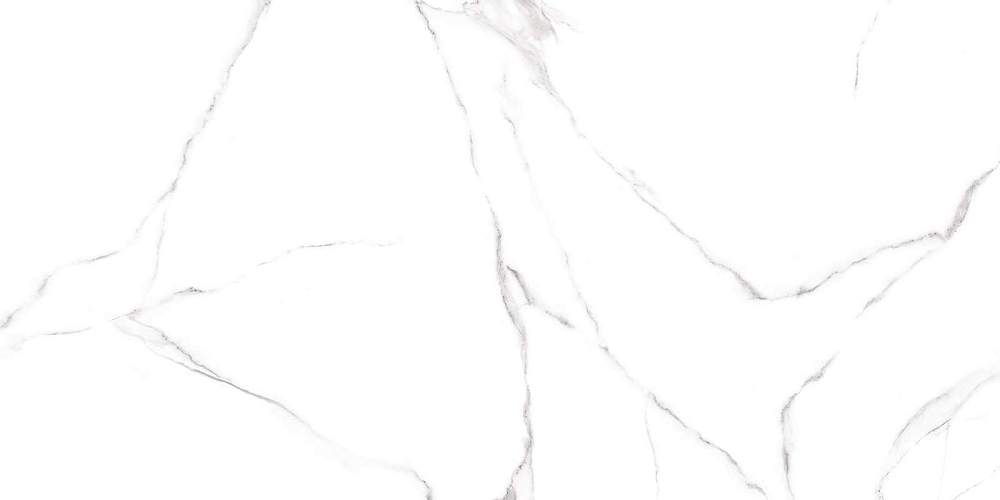 Carrara Белый GFU60120CRR00R Матовый Керамогранит 60x120