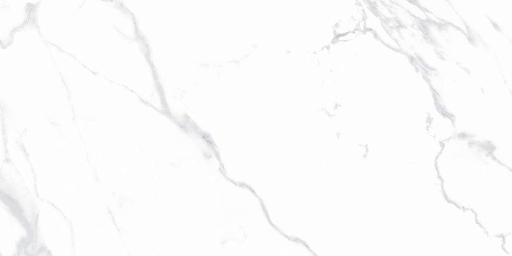 Statuario Justice Grey белый Керамогранит 60x120 Матовый