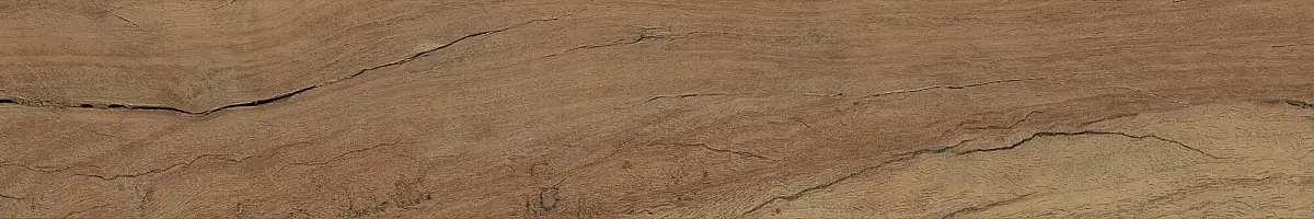 FS Forest Plank Natural 39699 Матовая 7,3x45