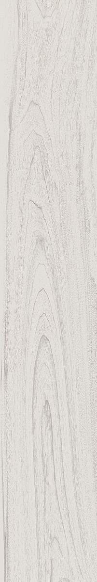 Монтиони Белый Матовый Обрезной SG526820R Керамогранит 20x119,5