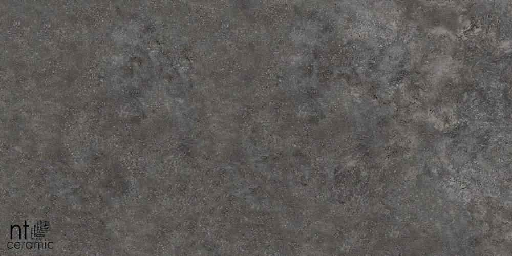 Concrete PP459NTT77003M Керамогранит 45x90