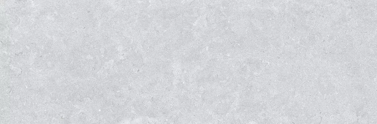 Ghent Silver 33,3x100