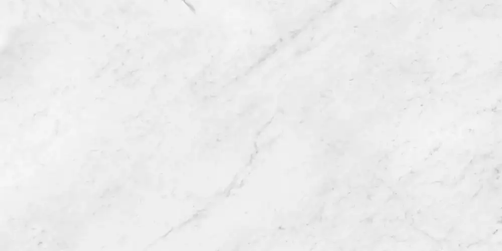 Carrara Antique Polished N12033 Керамогранит 60x120