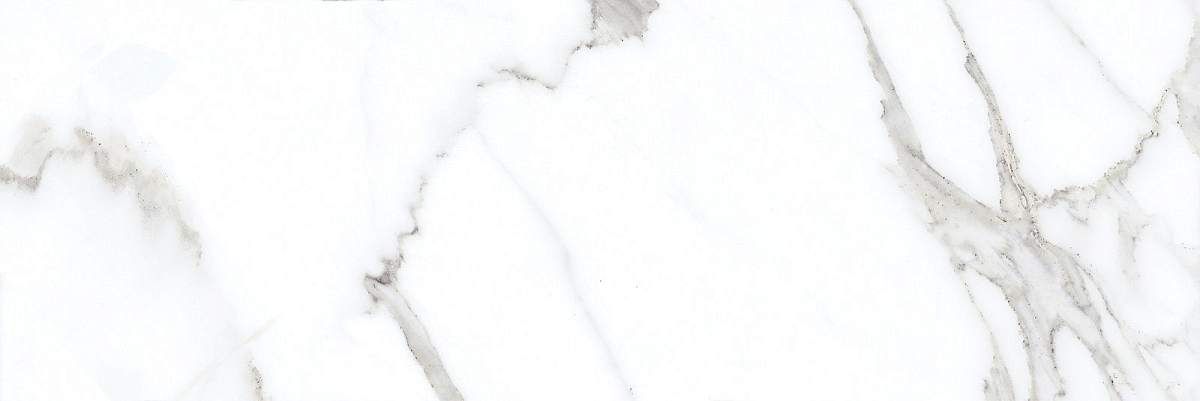 Роса Белая 1064-0368 20x60
