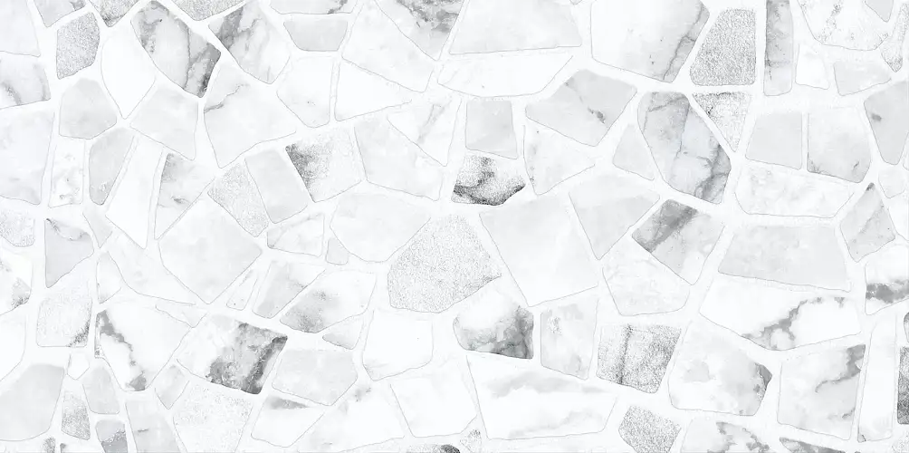 Smalta Chip WT9SML25 Глянцевая 24,9x50