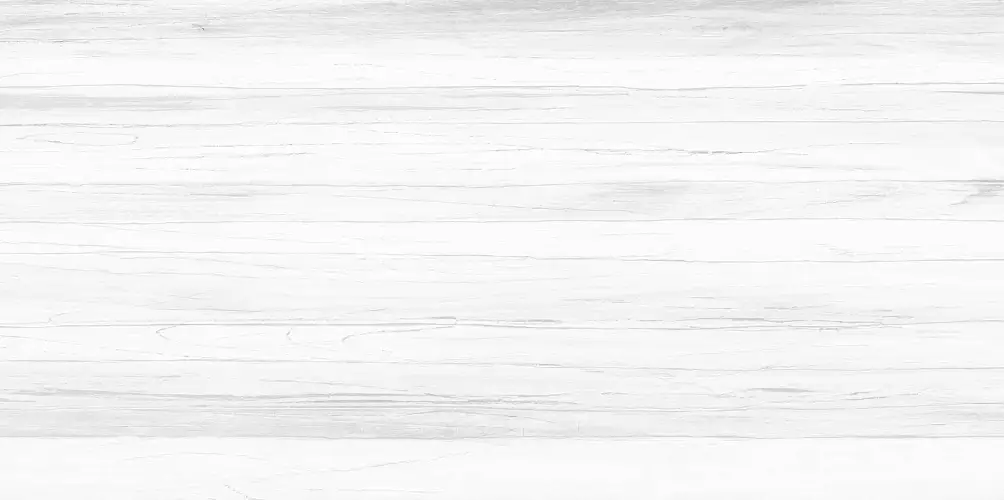 Vincenzo Casa WT9VIC25 Матовая 24,9x50