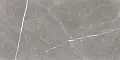 Encanto Серый GT120603001SPR Керамогранит 60x120