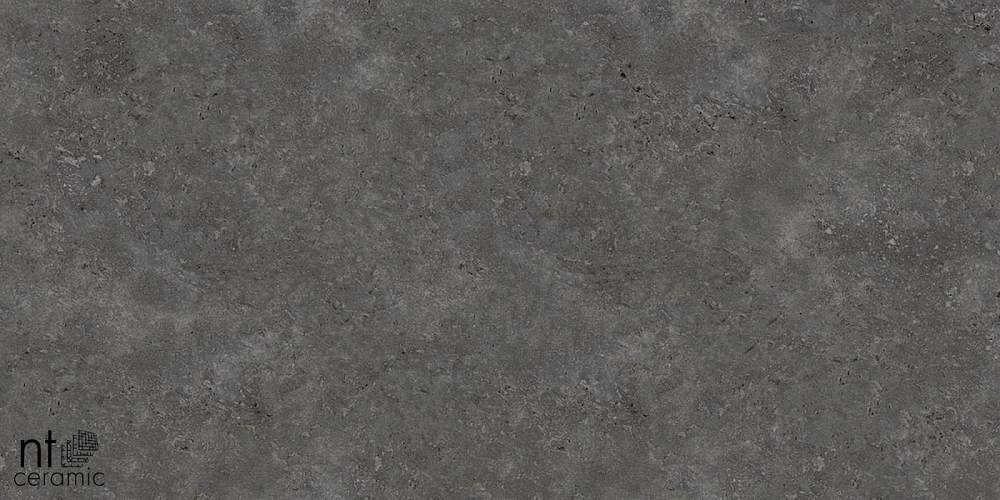 Concrete PP459NTT77003M Керамогранит 45x90