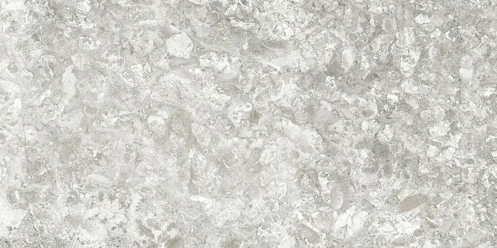 Лунар Светло-Серый MR ID9099b002MR Керамогранит 60x120