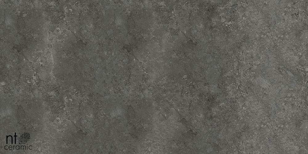 Concrete PP459NTT77003M Керамогранит 45x90