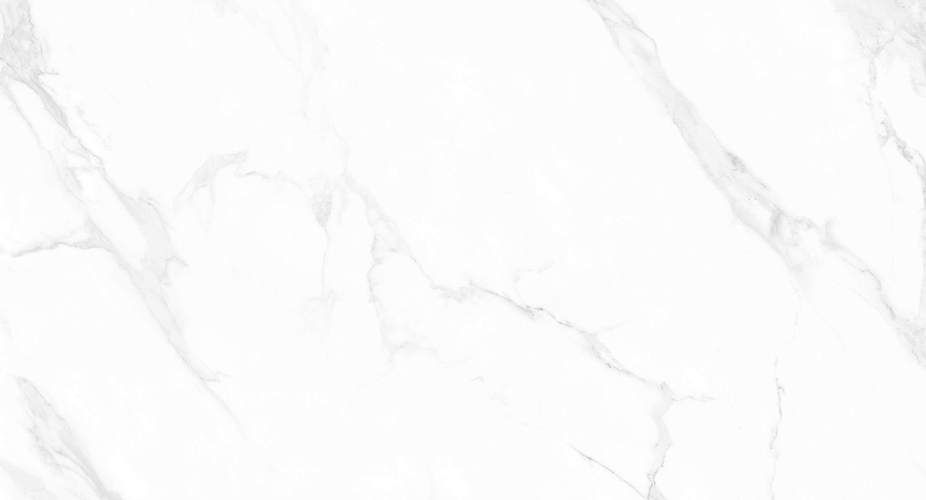 Carrara Anita Glossy M4402P Полированный Керамогранит 60x120