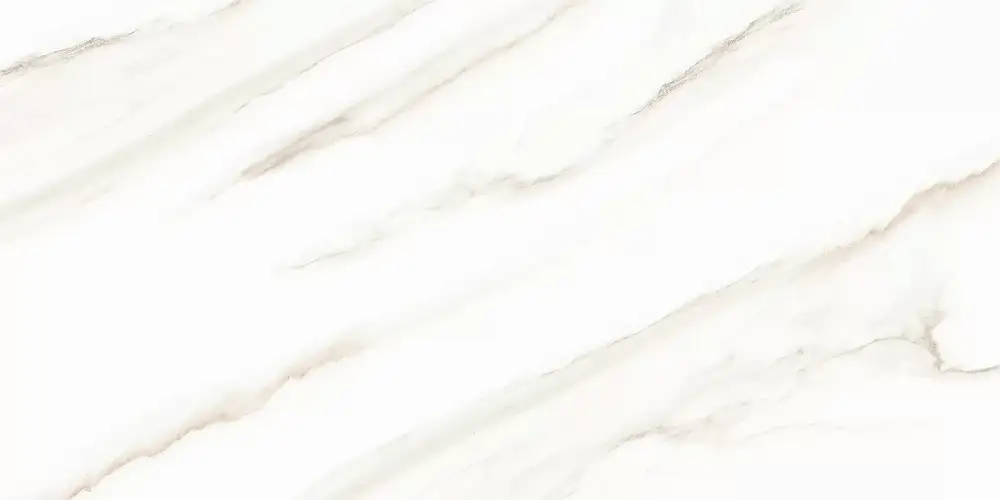 Esprit Calacatta WT9ESR00 Глянцевая 25x50