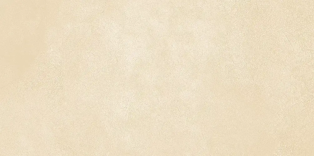 Petra Beige WT9PET11 Матовая 24,9x50