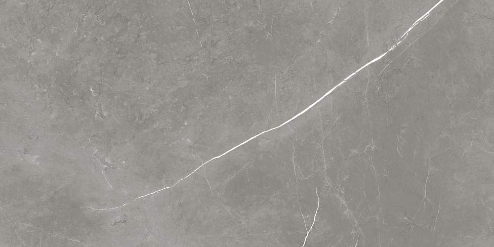 Elegant Grey Sat Керамогранит 60x120