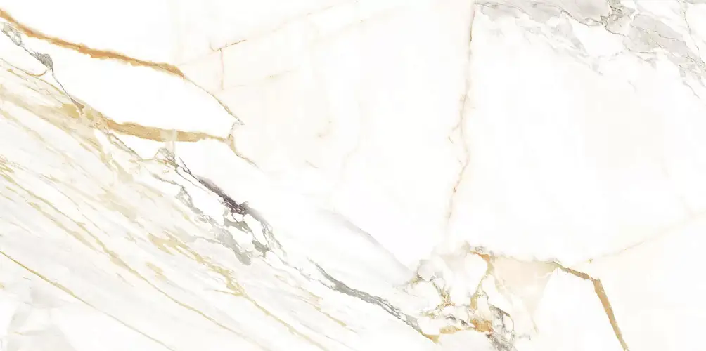 Detroit Calacatta Gold WT9DET11 Глянцевая 24,9x50