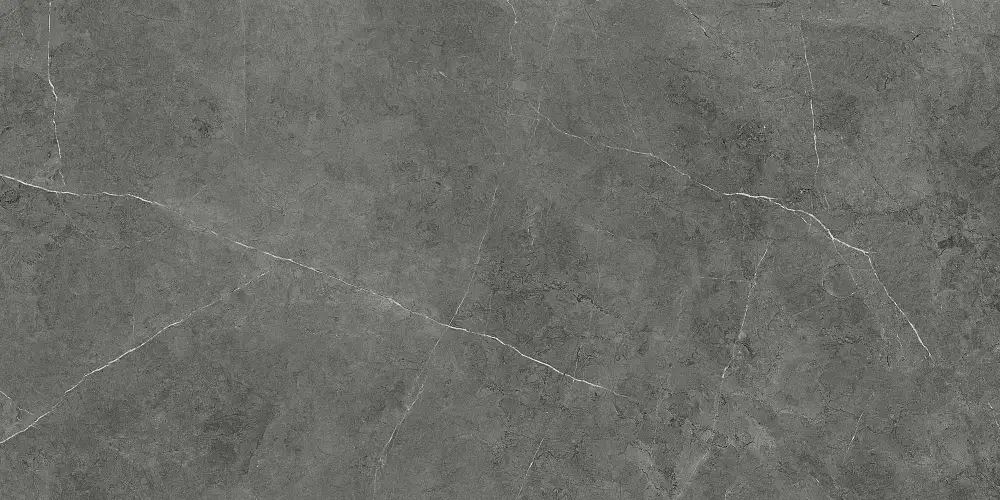 Nioba Темно-серый GT1206013009LR Керамогранит 60x120
