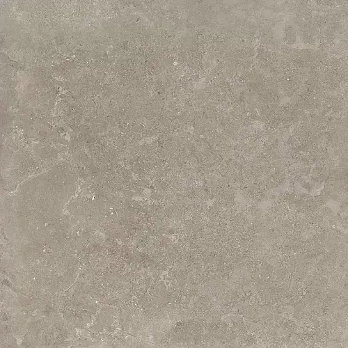 RC Shell DG Керамогранит 60x60