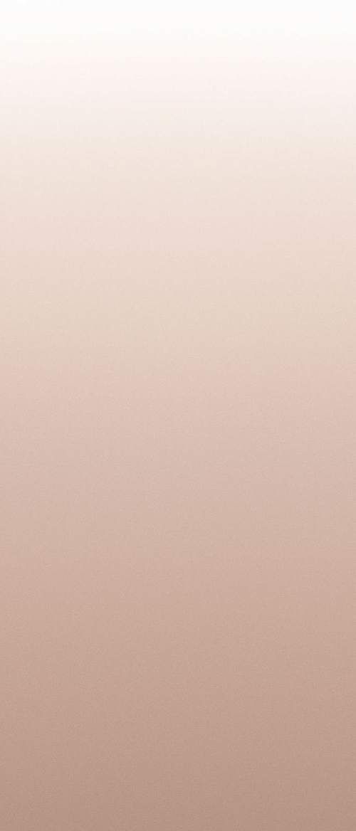 Декор Sfumatura Cipria NUS1XPAD 120x280