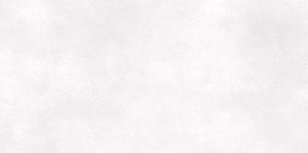 Islandia Light WT9ISL15 Матовая 24,9x50