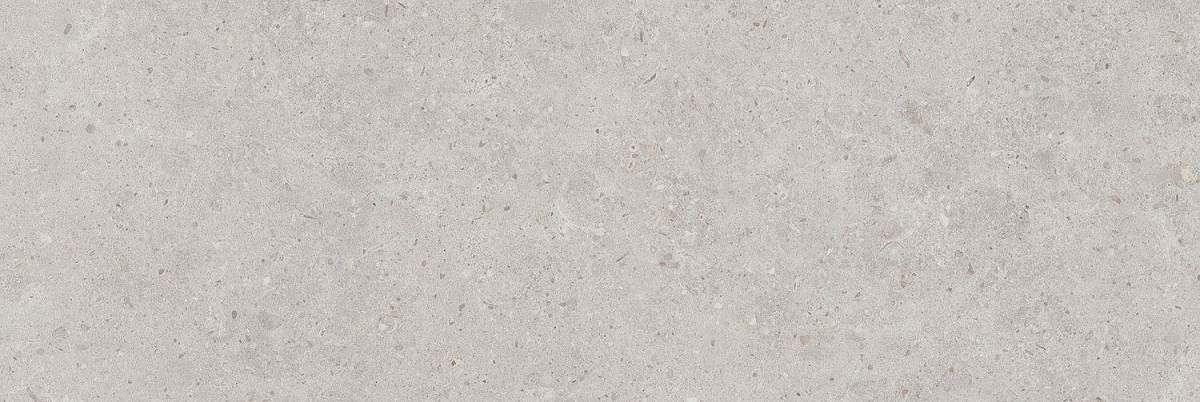 Риккарди Серый Светлый Матовый Обрезной 14053R 40x120