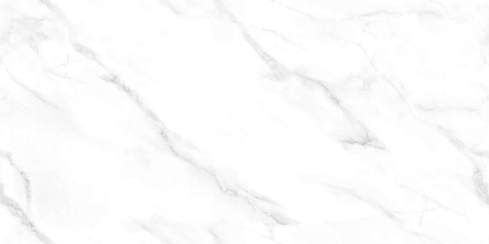 Marmo Statuario Endless NTT99506P Керамогранит 60x120