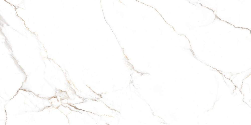 Barbara White Mat Керамогранит 60x120