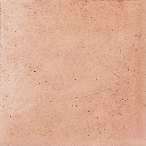 Raku Nude 30819 10x10