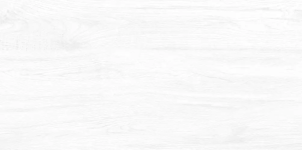 Briole White WT9BRE00 Глянцевая 24,9x50