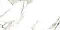 Carrara Matt Technical Porcelain 6012029 Керамогранит 60x120