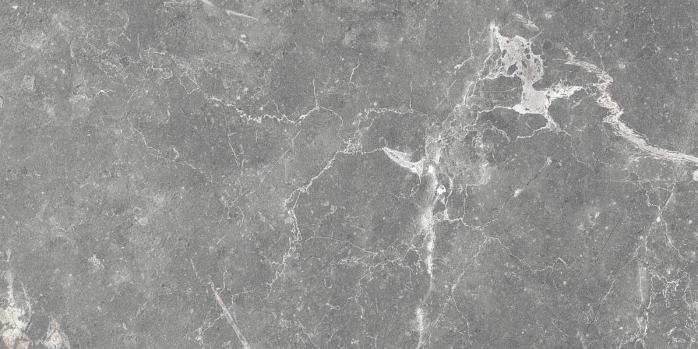 Capella Серый GT99VG 25x50