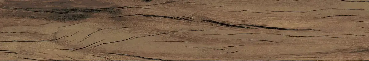 FS Forest Plank Natural 39699 Матовая 7,3x45