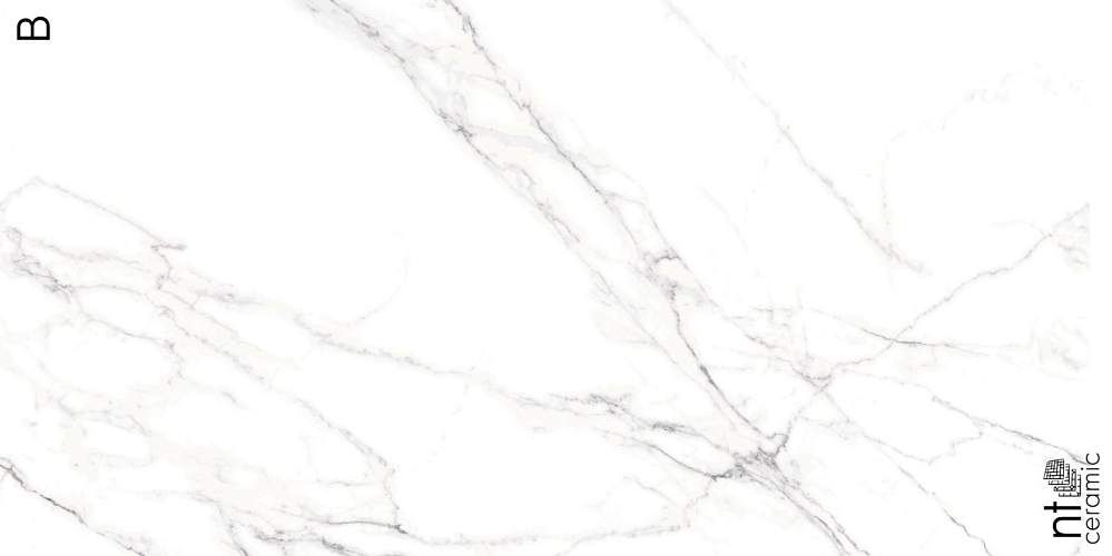 Calacatta Light Керамогранит 120x270