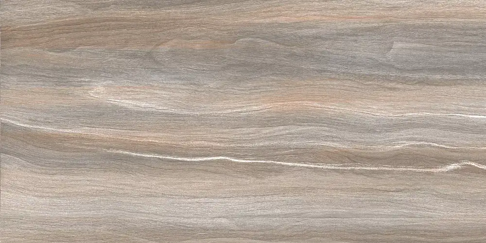 Esprit Wood WT9ESR21 Глянцевая 25x50